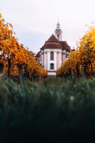 Zisterzienser Priorat Kloster (Bodensee)