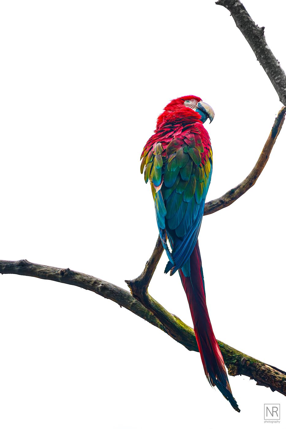 Zoo Salzburg Hellbrunn, Austria