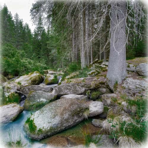 Am Weg zum Höllfall