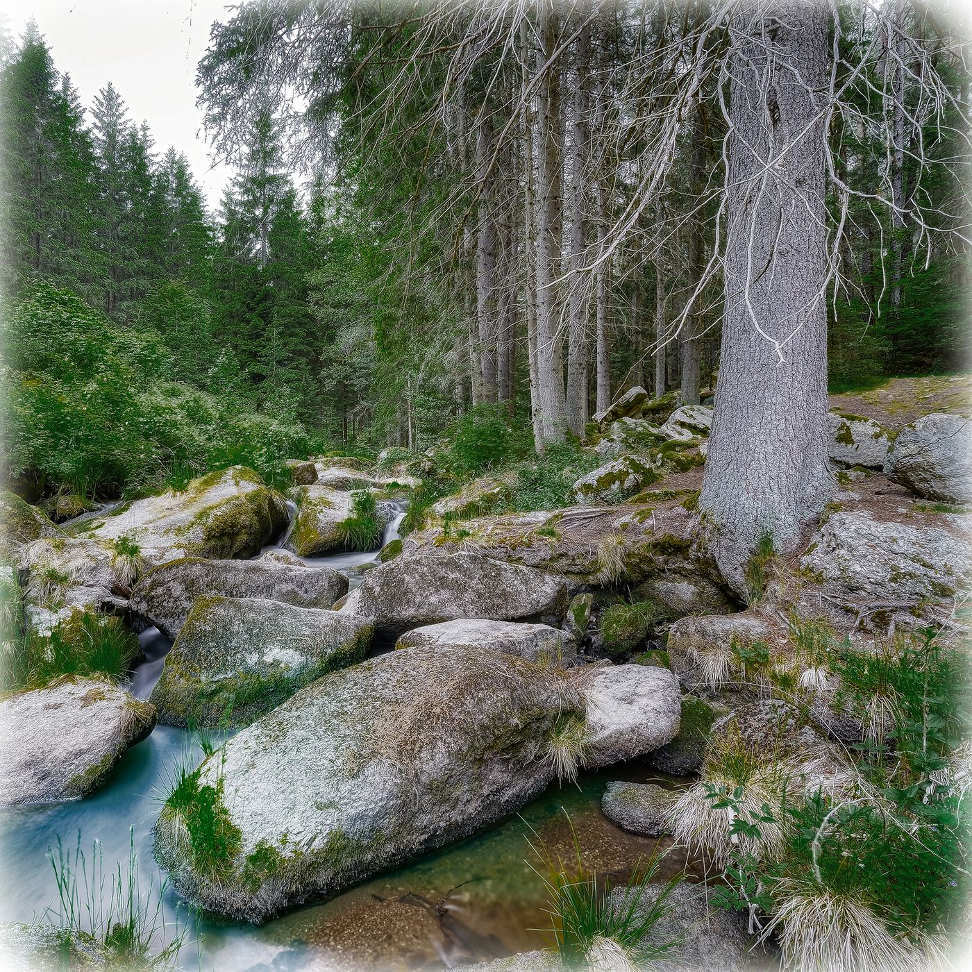 Am Weg zum Höllfall, Austria