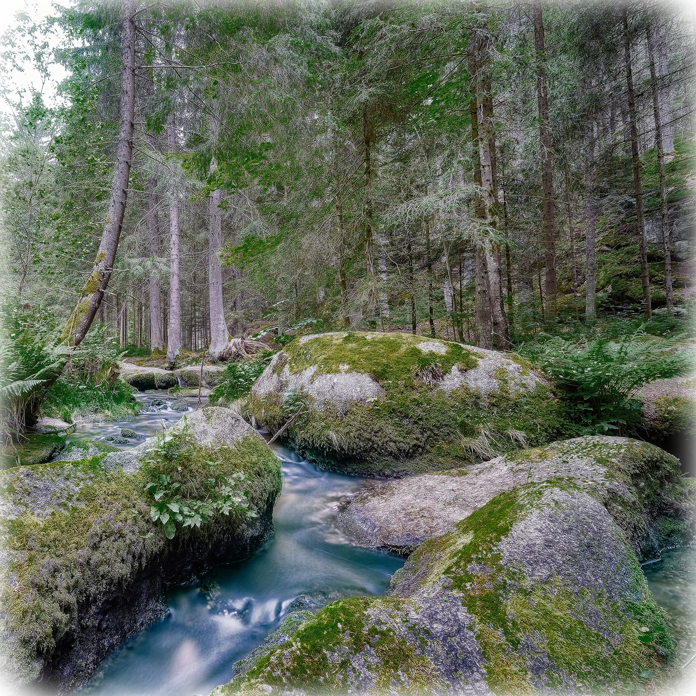 Am Weg zum Höllfall, Austria