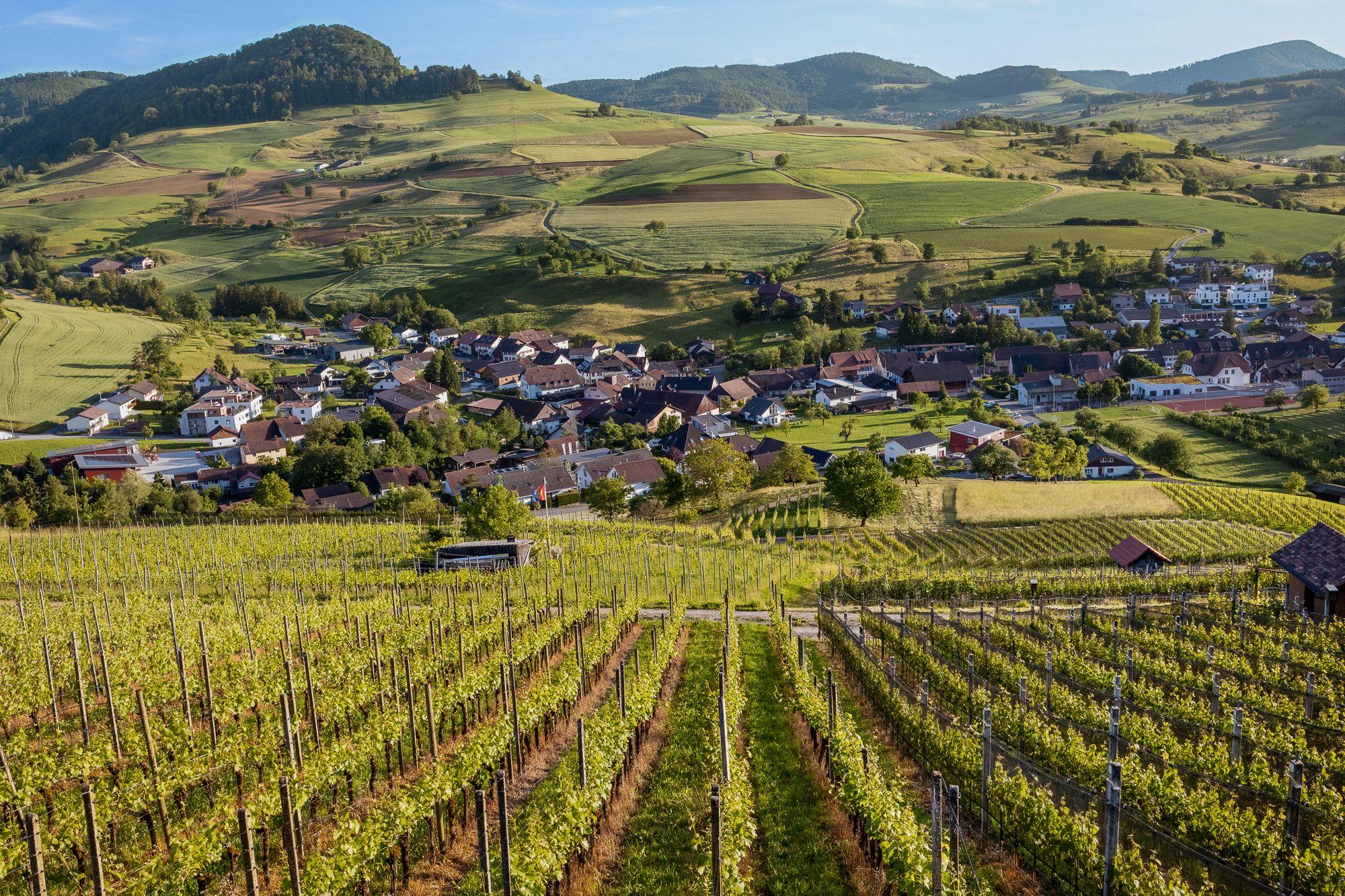 Aussichtspunkt oberhalb von Wil AG, Switzerland
