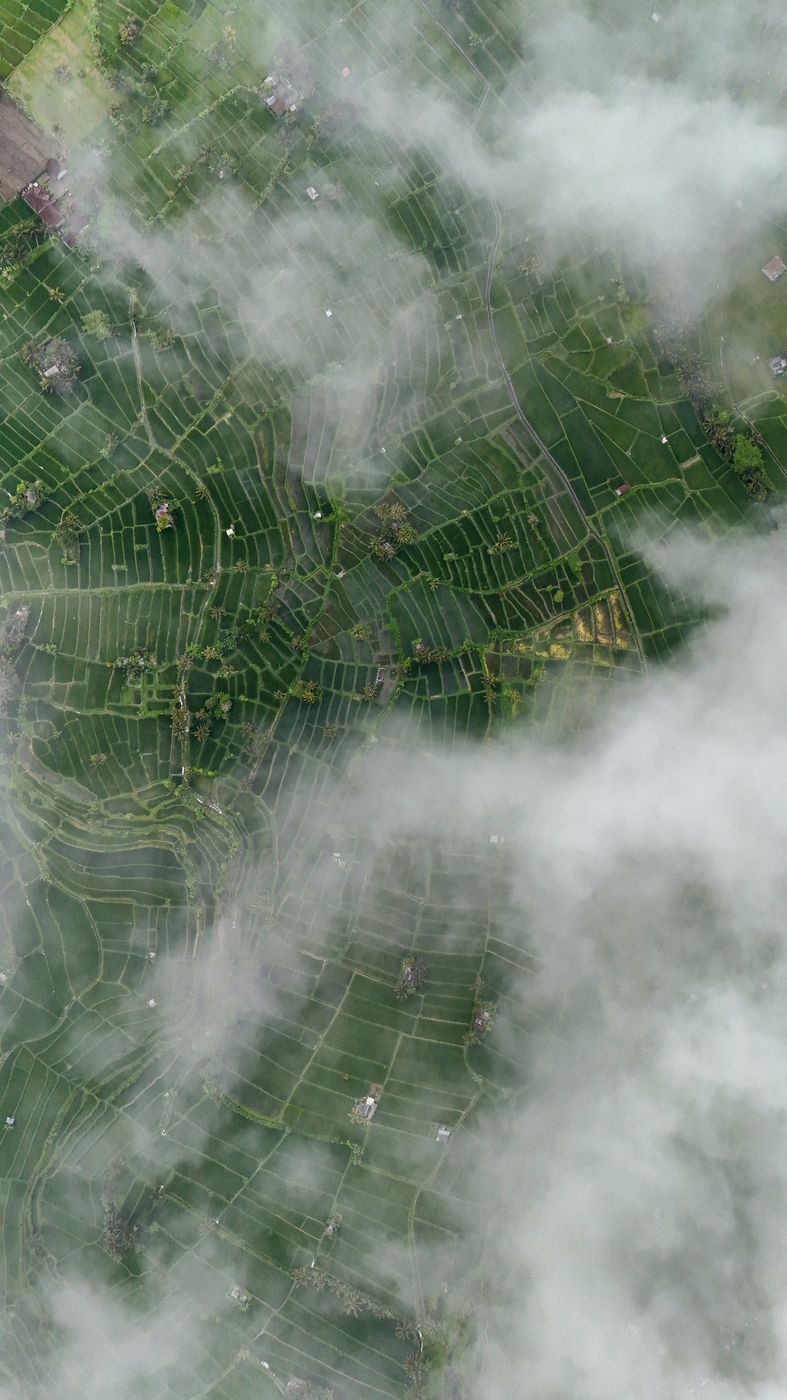 Bali Sibetan Rice Fields from Above, Indonesia