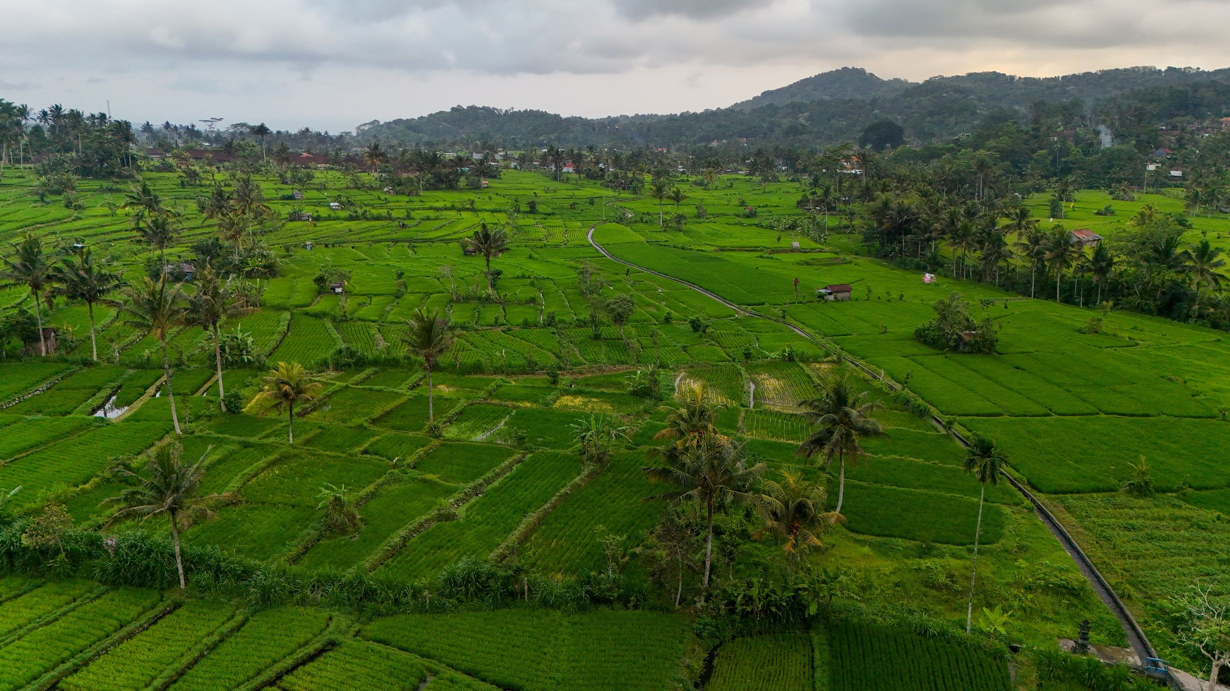 Bali Sibetan Rice Fields from Above, Indonesia