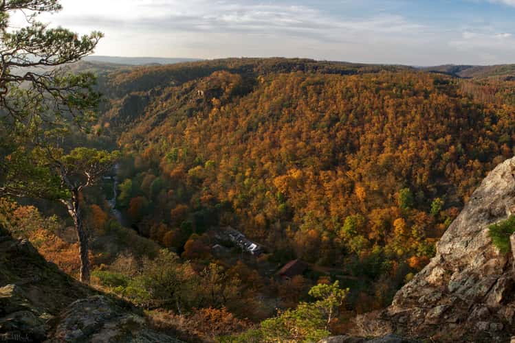 Big Rock viewpoint