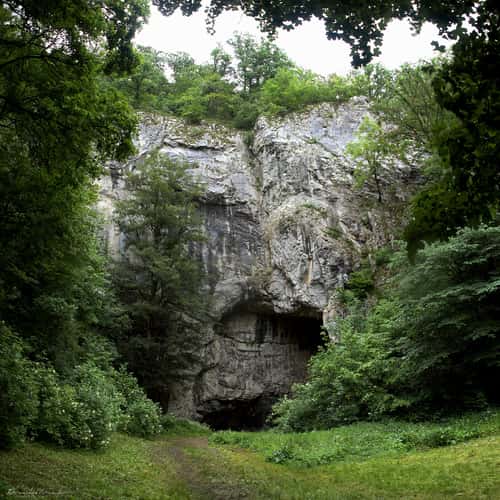 Bull rock cave