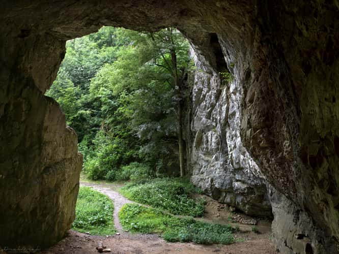 Bull rock cave