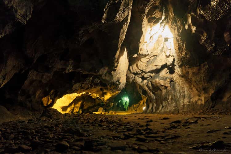 Bull rock cave