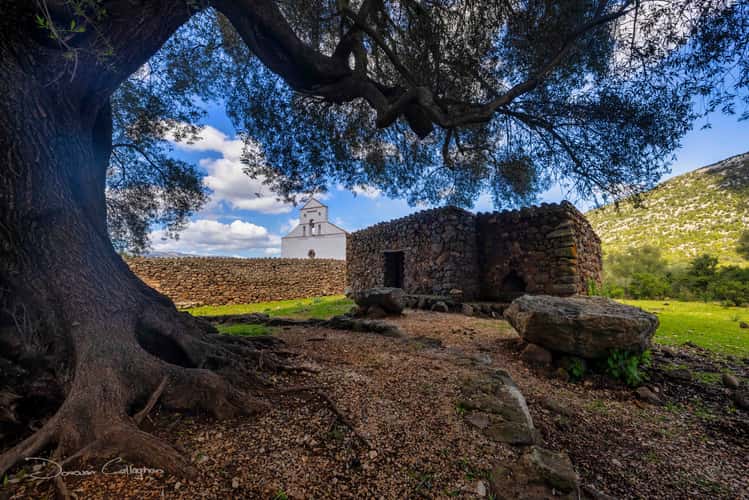 Chiesa di san pietro a golgo, sardina