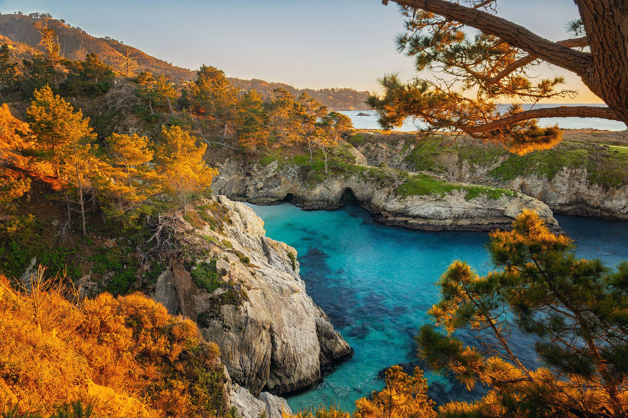 China Cove (Point Lobos), USA
