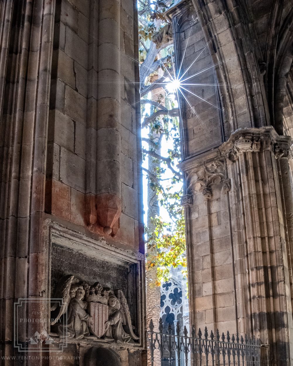 Cloisters at Cathedral de Barcelona, Spain
