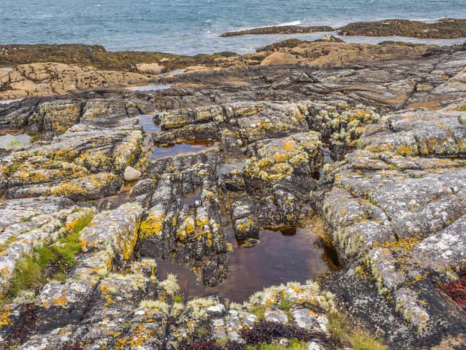 Coral Strand