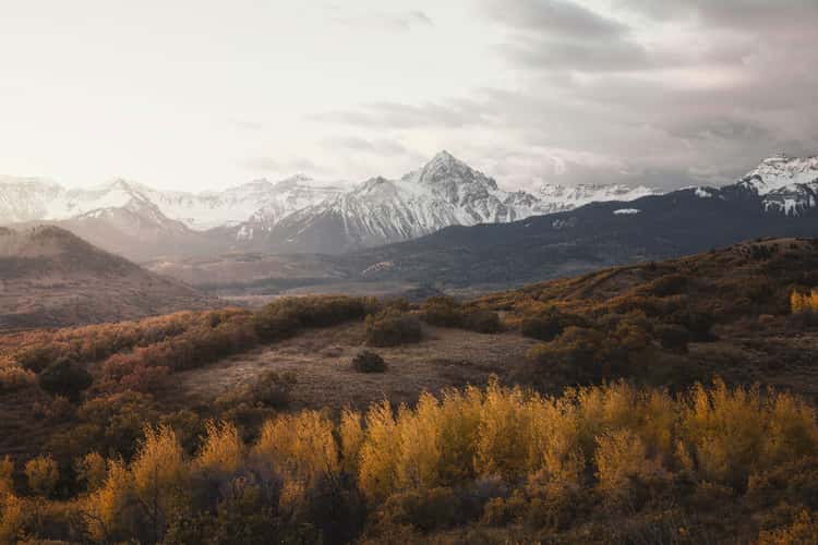 Dallas Divide