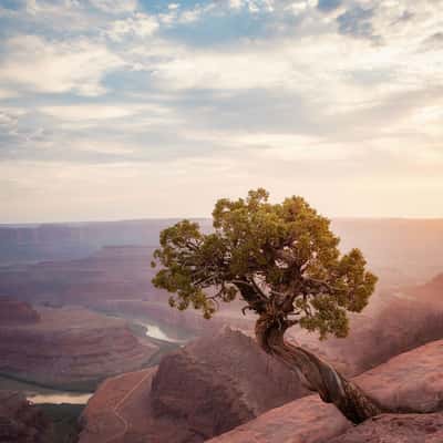 Dead Horse Point, Utah, USA