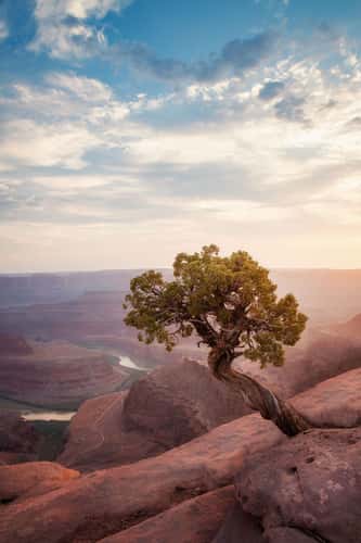 Dead Horse Point, Utah