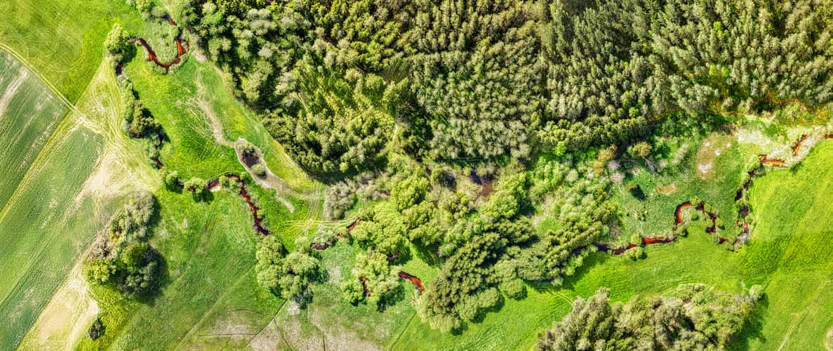 Der Kamp von Oben