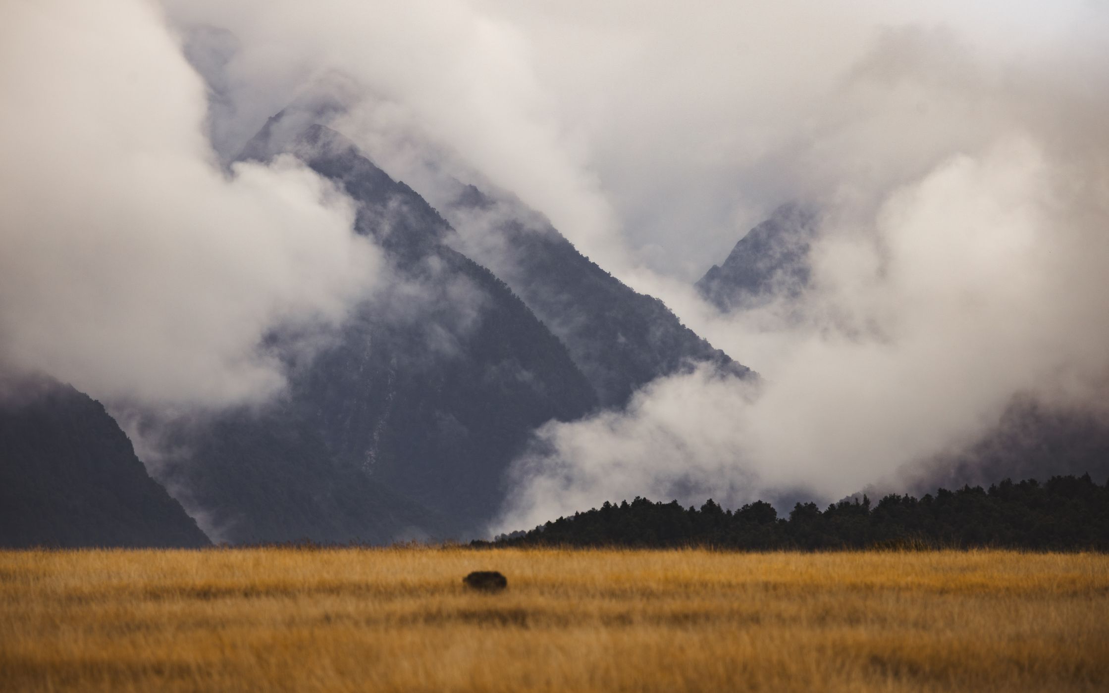 Eglinton Valley, Fiordland National Park, New Zealand