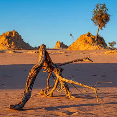 Eroded ancient sand dunes. Lake Mungo., Australia