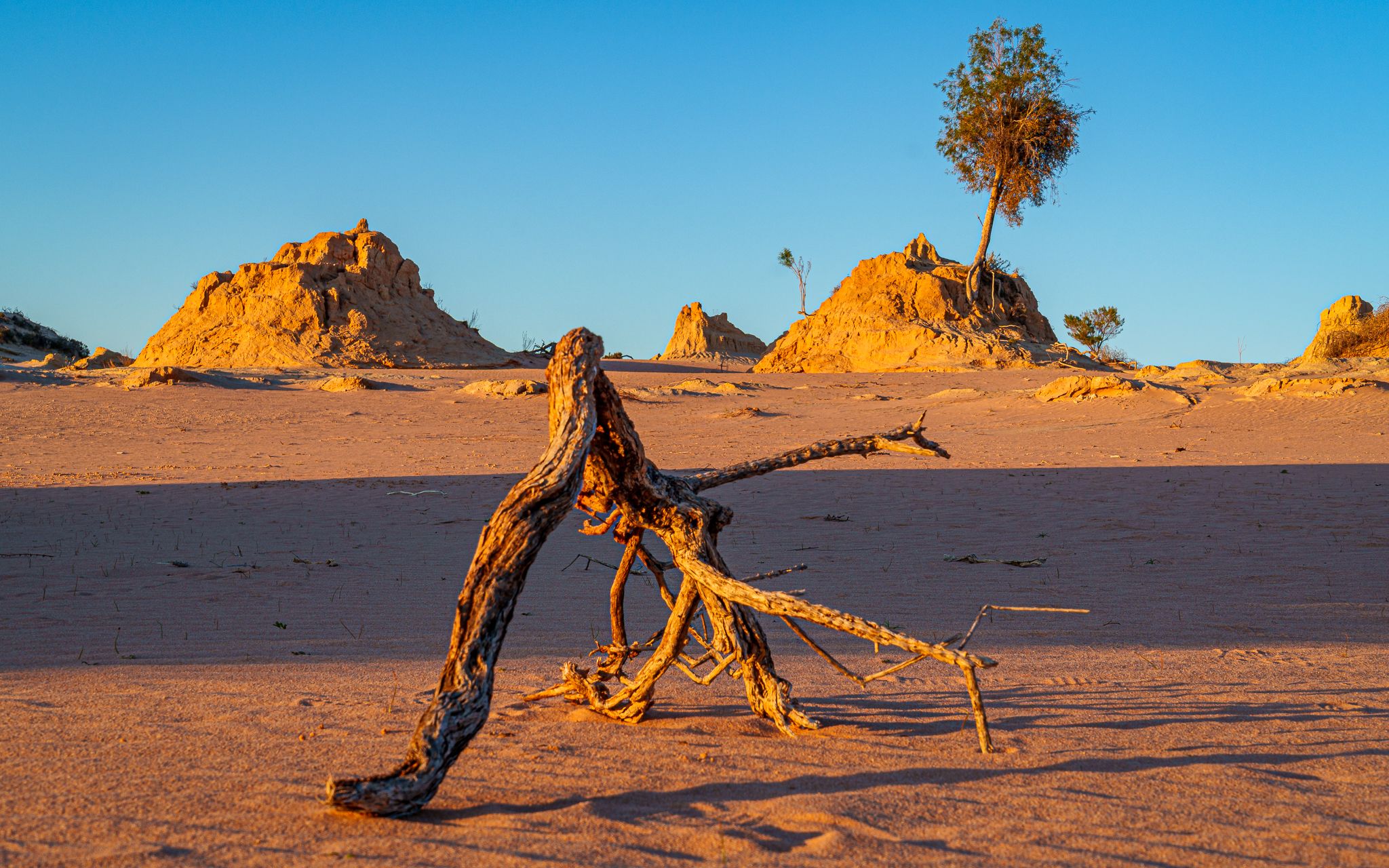 Eroded ancient sand dunes. Lake Mungo., Australia
