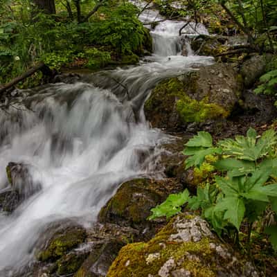 Falls Creek Falls, USA