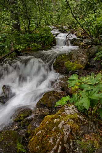 Falls Creek Falls