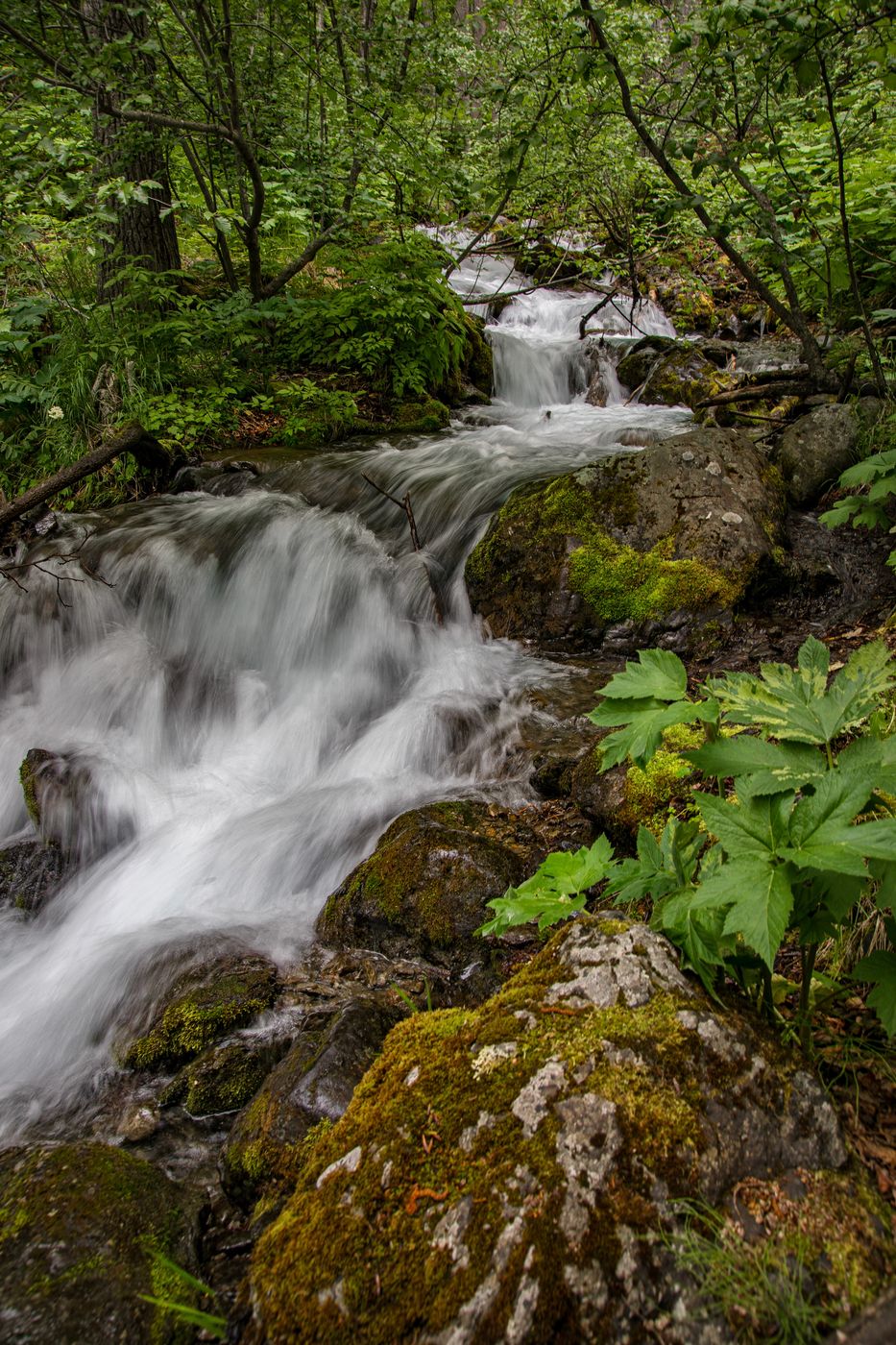 Falls Creek Falls, USA
