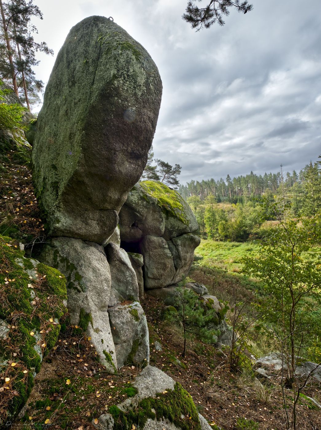Fish stone and surrounding rocky valley, Czech Republic