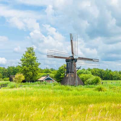Flora and fauna at the Weerribben, Netherlands