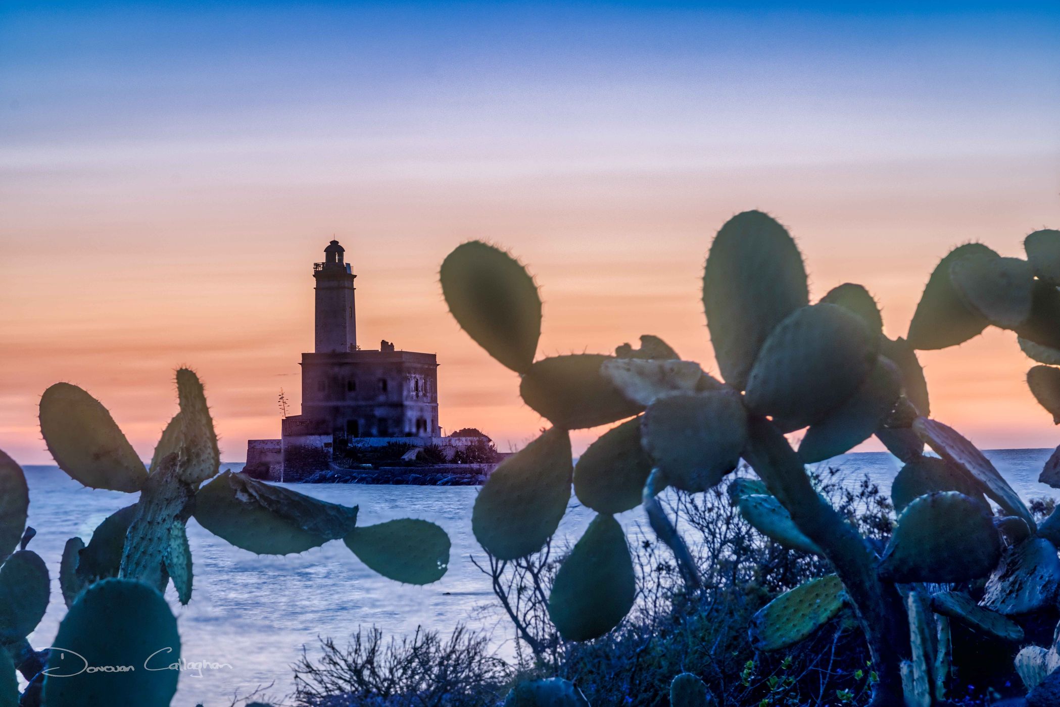 Flowers Faro di Bocca Lighthouse, Sardinia, Italy
