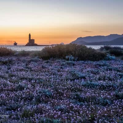 Flowers Faro di Bocca Lighthouse, Sardinia, Italy