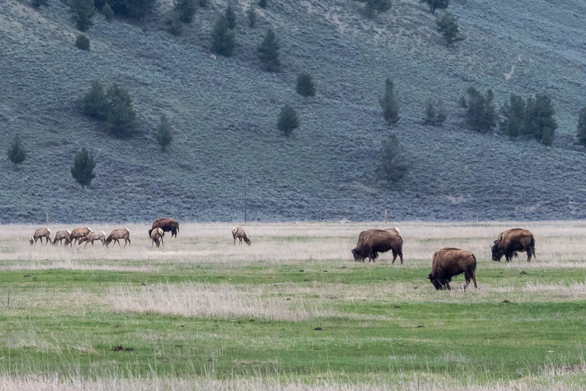 Grand Tetons national park, USA
