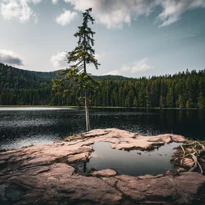 Großer Arbersee, Germany