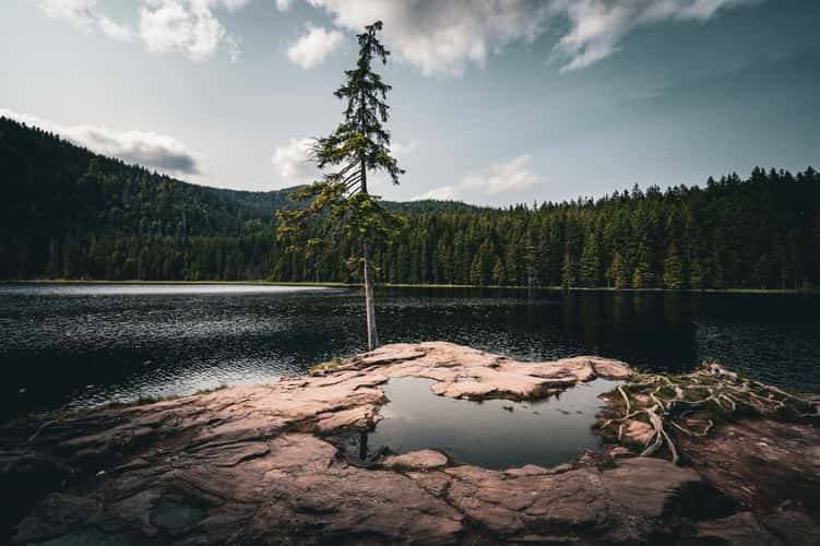 Großer Arbersee