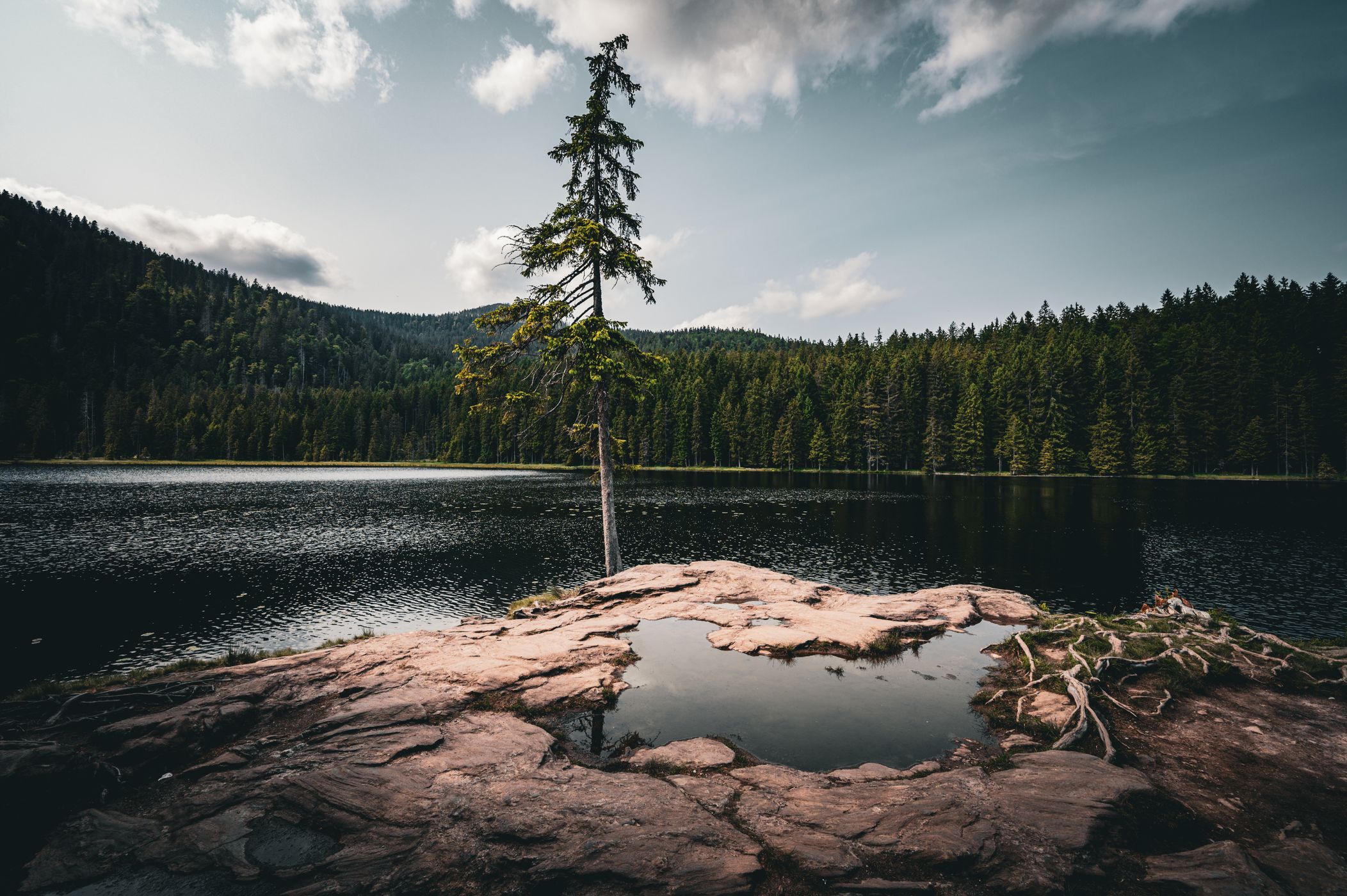 Großer Arbersee, Germany