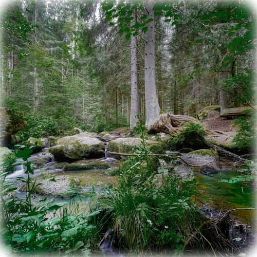 Hoellfall