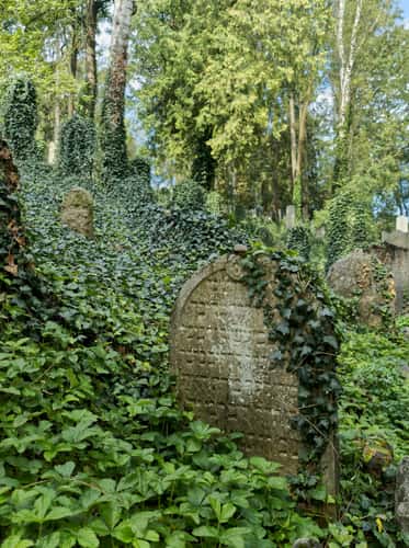 Jewish cemetery