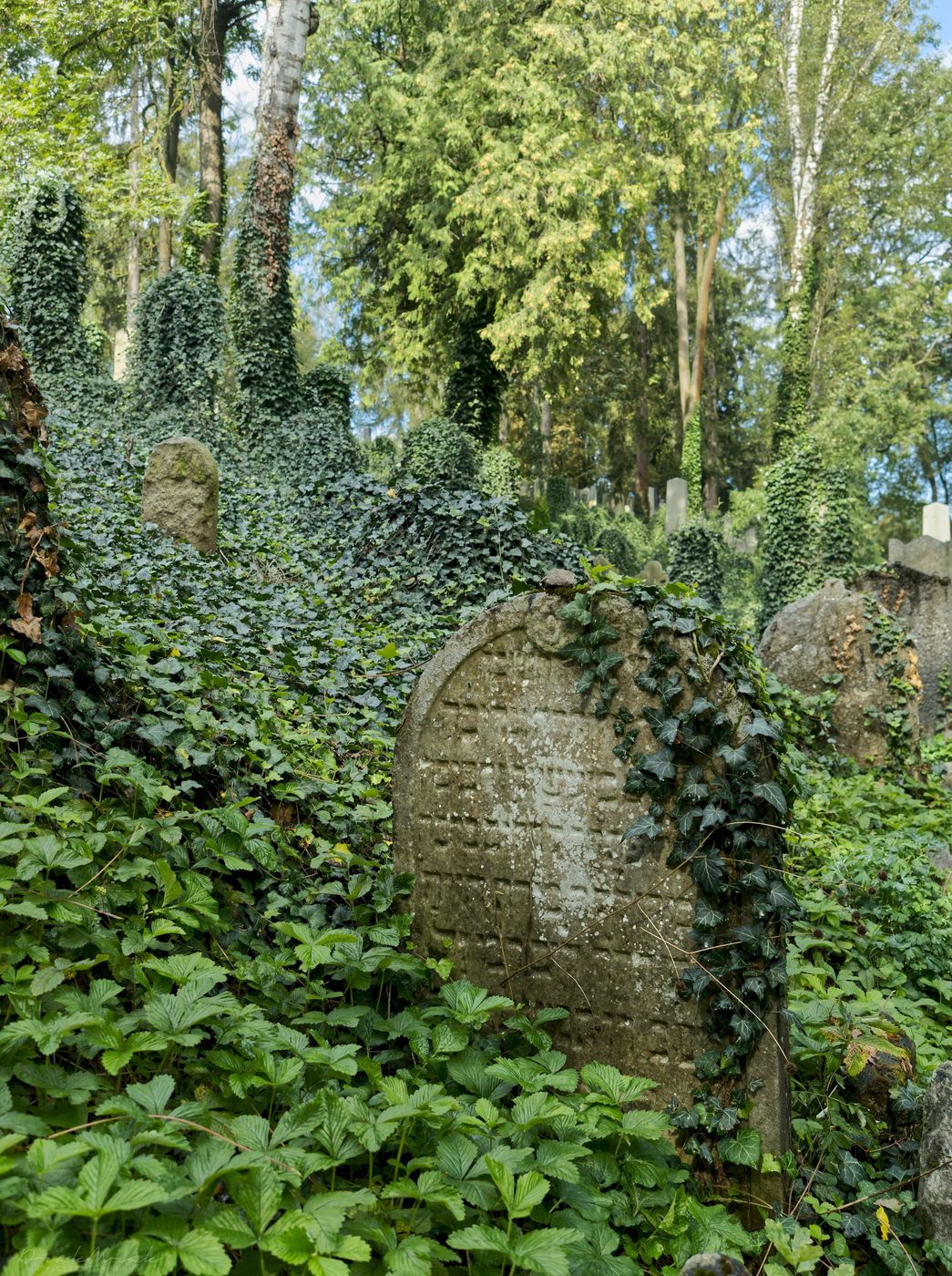 Jewish cemetery, Czech Republic