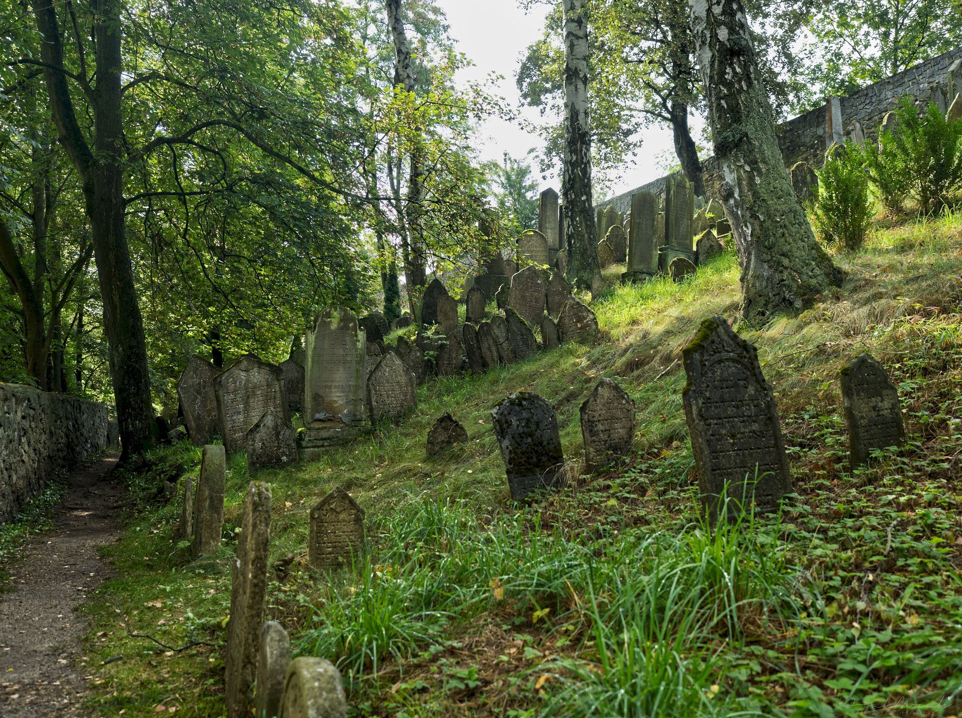 Jewish cemetery, Czech Republic