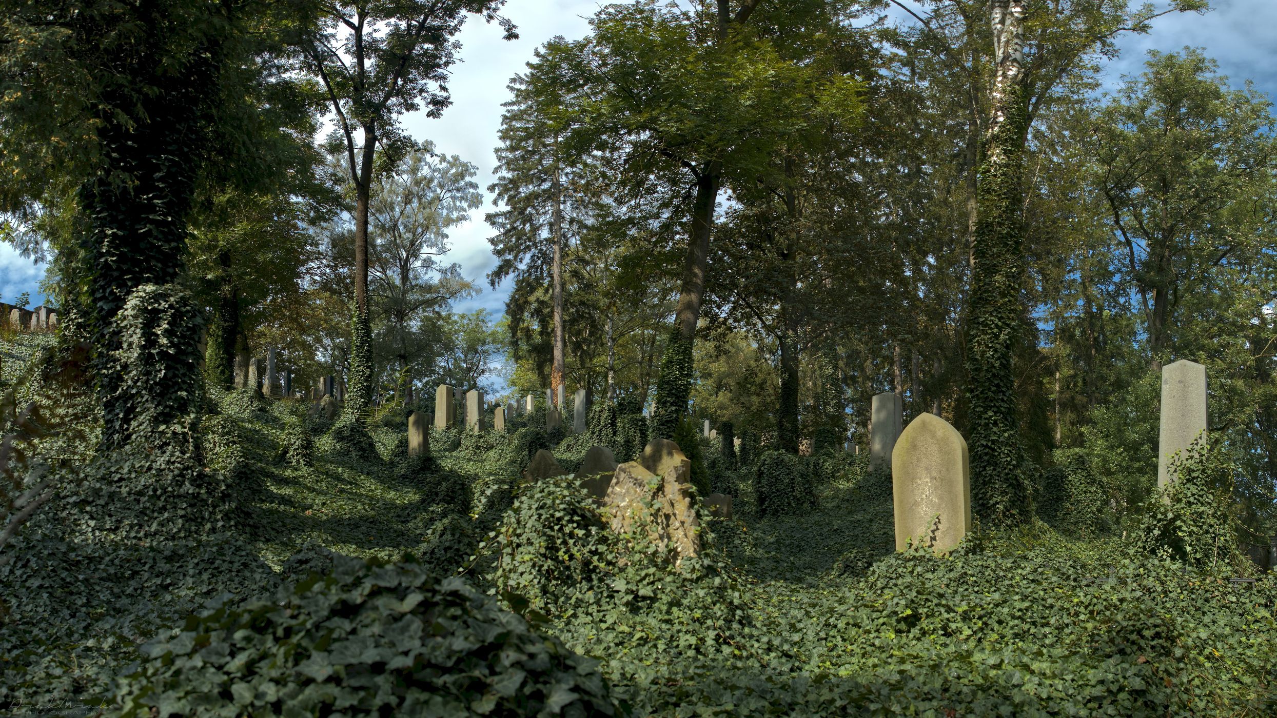Jewish cemetery, Czech Republic