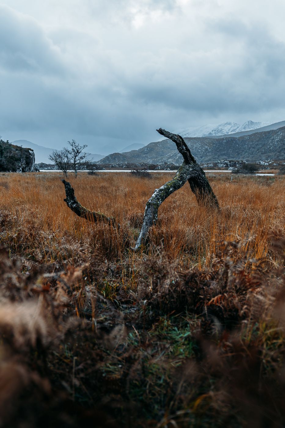 Killarney N71 Lakeside view, Ireland