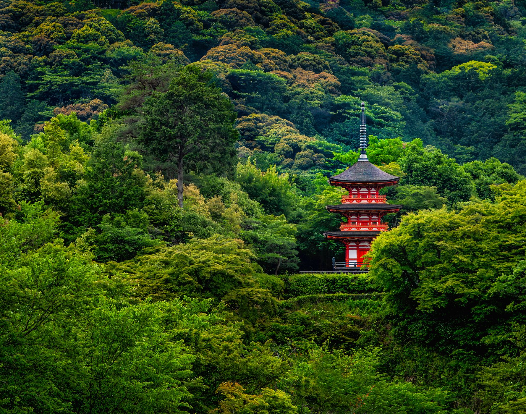 Kiyomizudera Koyasunoto Pagoda, Kyoto, Japan