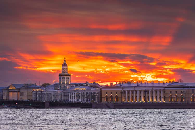 Kunstkamera, Saint-Petersburg