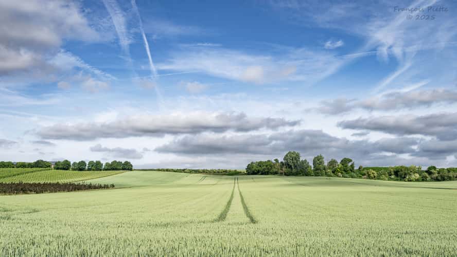 La campagne de Hermée