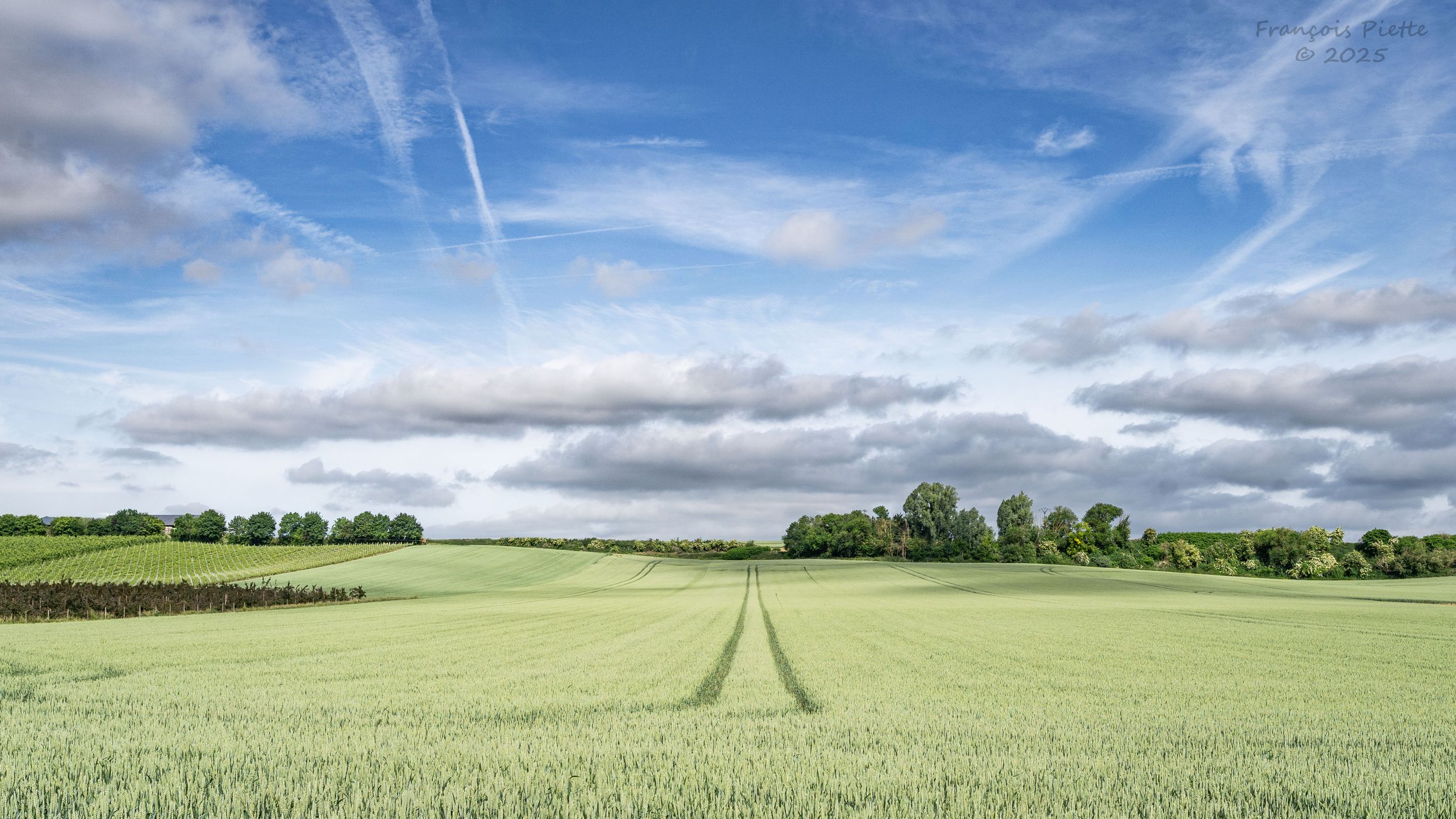 La campagne de Hermée, Belgium