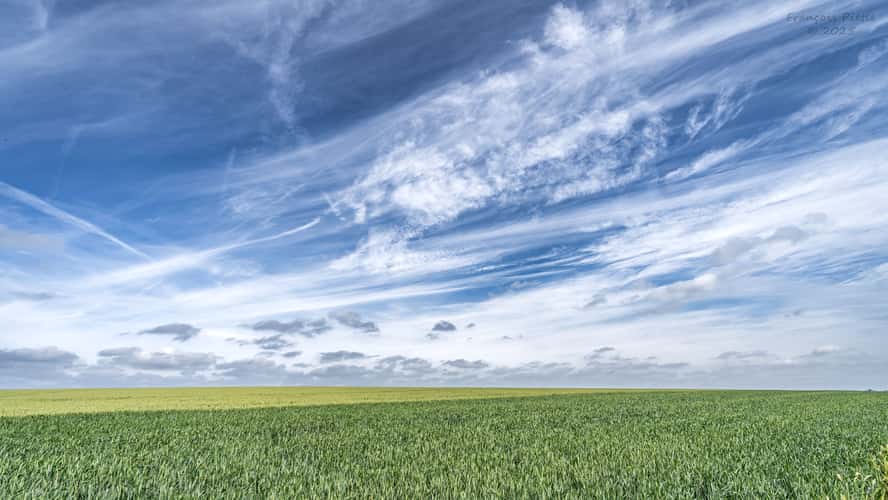 La campagne de Hermée