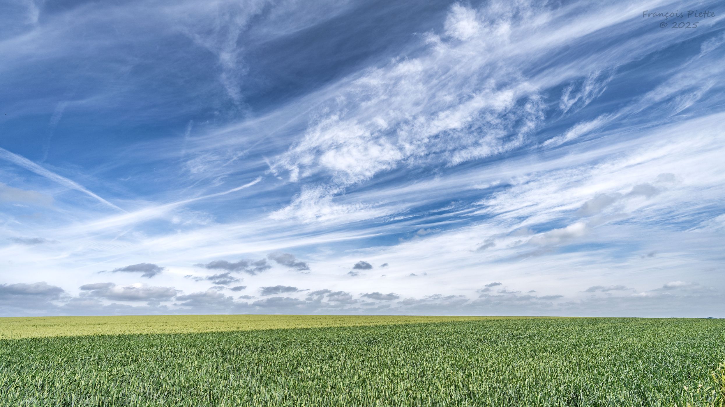 La campagne de Hermée, Belgium