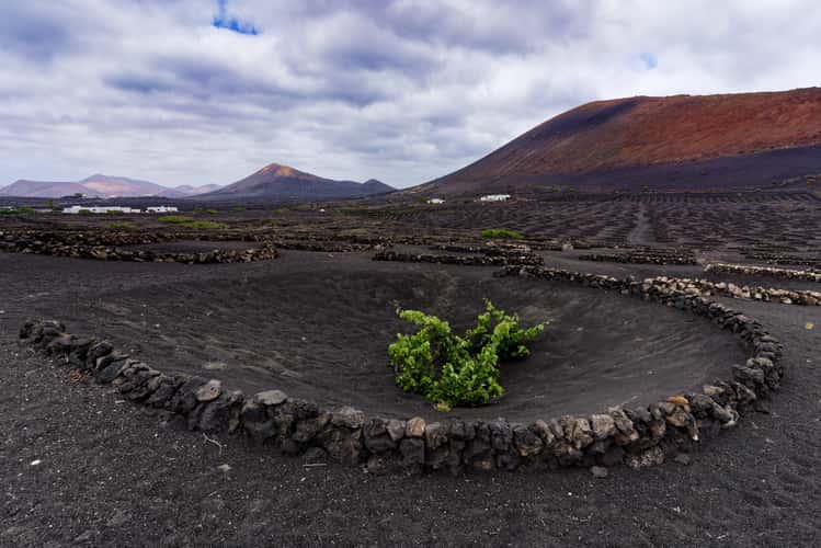 La Geria, Lanzarote