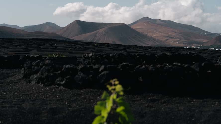La Geria, Lanzarote