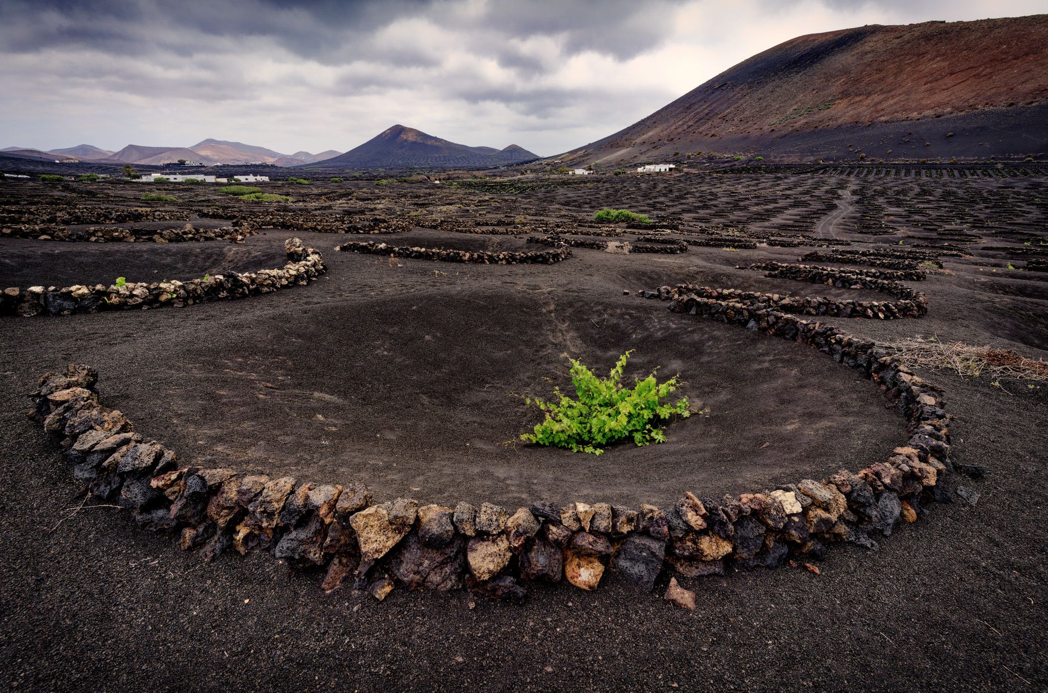 La Geria, Lanzarote, Spain