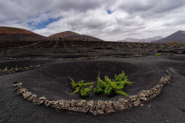 La Geria, Lanzarote